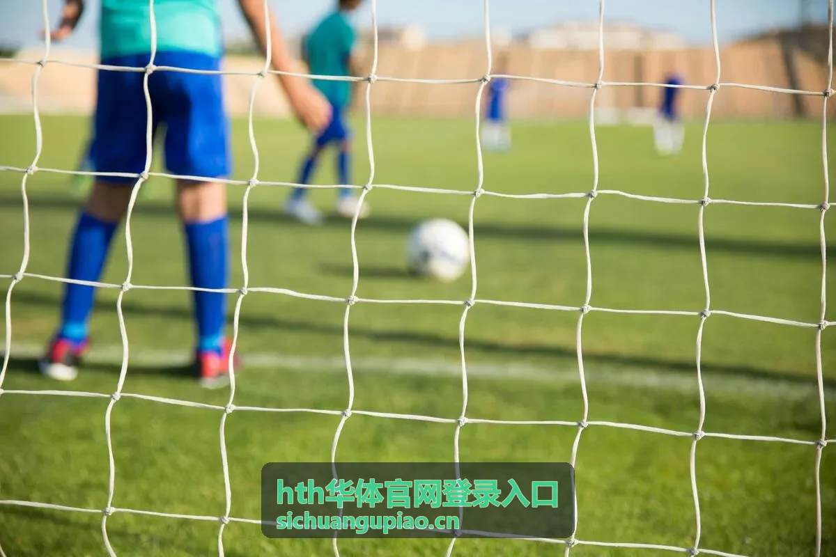 hth华体官网登录入口密码找回与重设说明