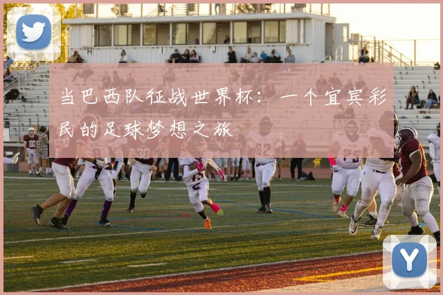 当巴西队征战世界杯：一个宜宾彩民的足球梦想之旅